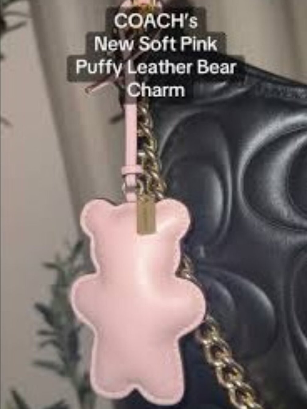 Coach Adorable Bear Puffy Bag Charm Soft Pink CCX43 🐻